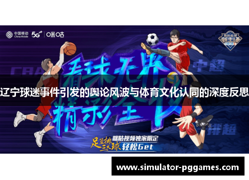 辽宁球迷事件引发的舆论风波与体育文化认同的深度反思